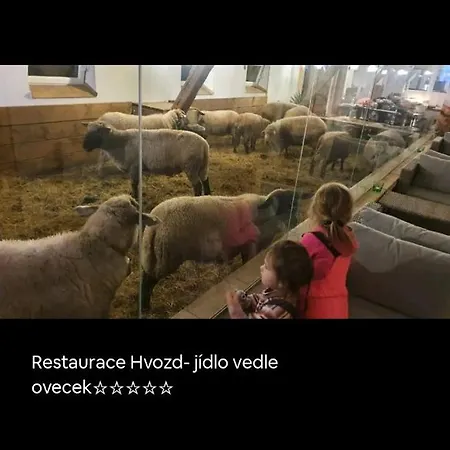 Pod Vyhlidkou * Česká Lípa