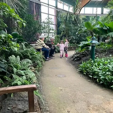 Pod Vyhlidkou *